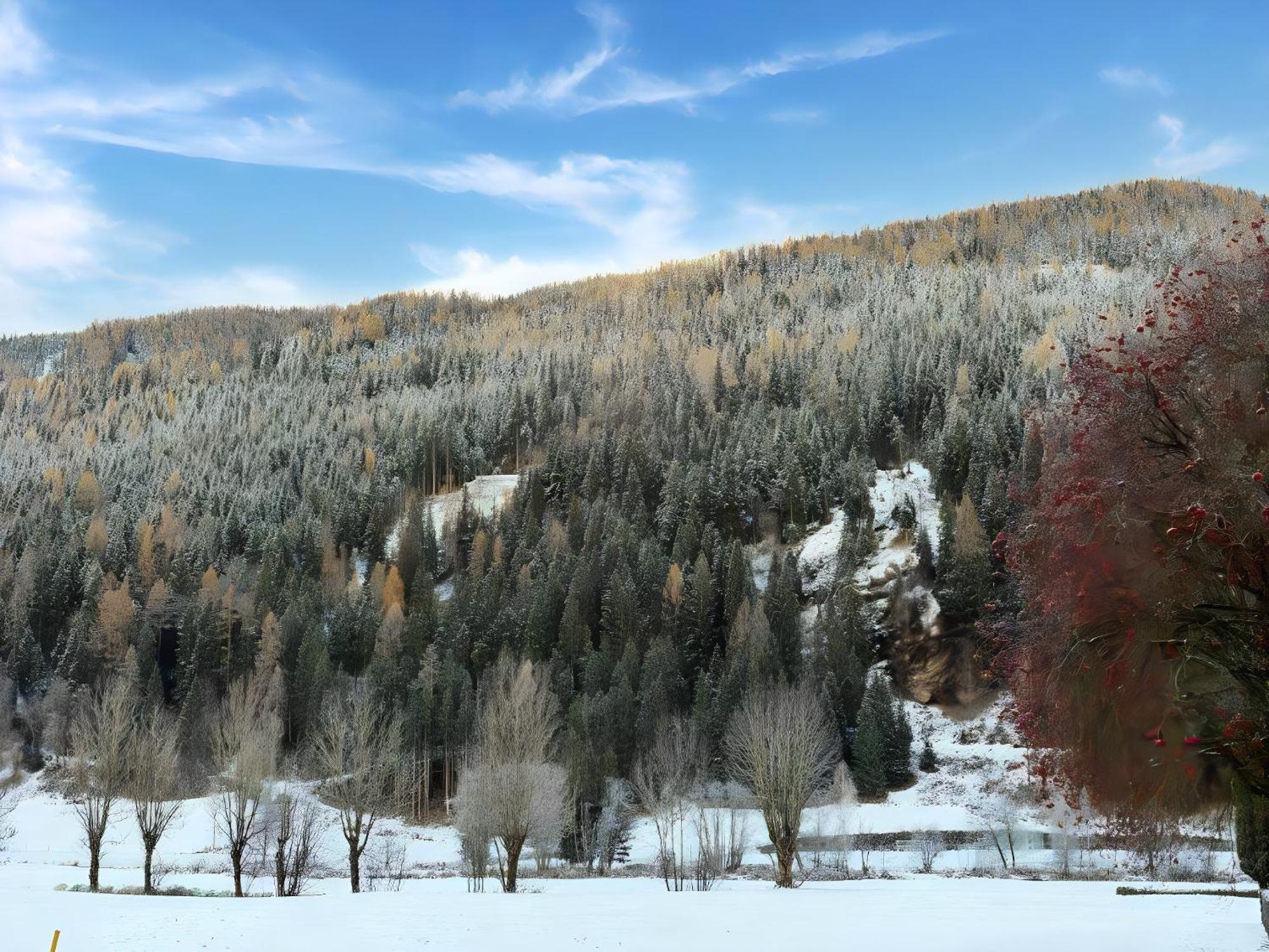 Appartement Birgit Bad Kleinkirchheim Dış mekan fotoğraf